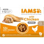 Iams Delights kitten kuře v omáčce 12 x 85 g – Hledejceny.cz
