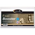 Horse Master Foal Booster pasta 4 x 15 ml – Zboží Dáma