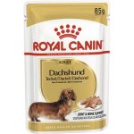 Royal Canin Adult Dashund 12 x 85 g – Zboží Mobilmania