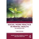 Social Work Practice in Mental Health – Hledejceny.cz