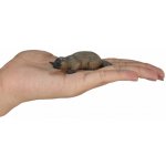 Animal Planet Ptakopysk podivný – Hledejceny.cz