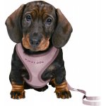 JUNIOR puppy souprava měkký postroj 26-34 cm/10mm vodítko 2,00m/10mm světle – Hledejceny.cz
