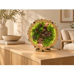 Li-Go "Mechové zátiší" lampa 20x22 cm provedení povrchu: dub – Hledejceny.cz