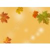 WEBLUX Samolepka fólie autumn maple leaf - 370583314 , 100 x 73 cm