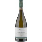 Marotti Campi Salmariano Castelli di Jesi Verdicchio Riserva Classico suché bílé 2018 14% 0,75 l (holá láhev) – Hledejceny.cz