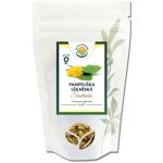 Salvia Paradise Pampeliška lékařská květ 100 g – Zboží Dáma
