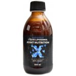 BrainMax Lipozomální Kloubní výživa Acti-Joint 250 ml – Hledejceny.cz