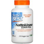 Doctor’s Best Nattokinaza 2000FU 270 Vegetarianských kapslí – Hledejceny.cz