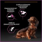 Purina Pro Plan Small & Mini Adult 9+ Age Defence kuře 7 kg – Hledejceny.cz