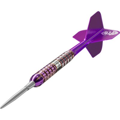 steel Target Japan Endeavour G2 24g SP 90% wolfram – Zboží Dáma