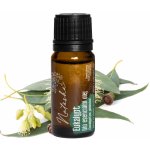 Natasha Bio esenciální olej Eukalypt 10 ml – Hledejceny.cz