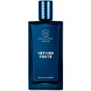 Collistar Vetiver Forte toaletní voda pánská 100 ml