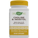 Nature's Way Choline & Inositol 100 kapslí – Hledejceny.cz