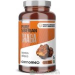 Carnomed Pure Siberian CHAGA 500 mg 120 kapslí – Hledejceny.cz