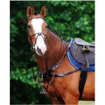 Passier Poprsník Auriga černý – Sleviste.cz