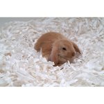 Safebed Podestýlka z papírové vlny 2 kg – Zbozi.Blesk.cz