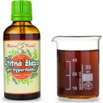 Bylinné kapky Štítná žláza hyperfunkce kapky 50 ml – Hledejceny.cz