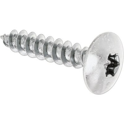 Vrut do dřeva TX 6x30 mm pozink 4 ks – Hledejceny.cz