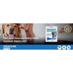 Frontline Spot-On Dog M 10-20 kg 1 x 1,34 ml – Hledejceny.cz