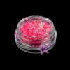 Zdobení nehtů Starnails Nail Art zdobení glitter G261