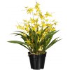 Květina Umělá Oncydie žlutá, 60cm