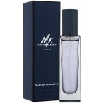 Burberry Mr. Burberry Indigo toaletní voda pánská 30 ml – Hledejceny.cz