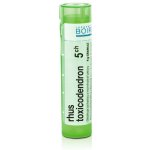 RHUS TOXICODENDRON POR 30CH GRA 4G – Hledejceny.cz