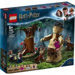 LEGO® Harry Potter™ 75967 Zapovězený les: Setkání Drápa a profesorky Umbridgeové – Hledejceny.cz