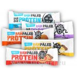 Maxsport Paleo Protein Raw Bar 50g – Zboží Dáma
