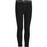 Icebreaker Dětské funkční legíny Kids 260 Tech Leggings black – Zboží Mobilmania