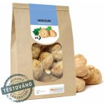 MycoMedica Hericium korálovec ježatý sušený 100 g – Zboží Dáma