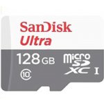 Sandisk MicroSDXC UHS-I 256 GB SDSQUNR-256G-GN3MN – Zbozi.Blesk.cz