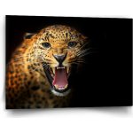 Sablio Obraz Gepard 2 - 120x80 cm – Hledejceny.cz