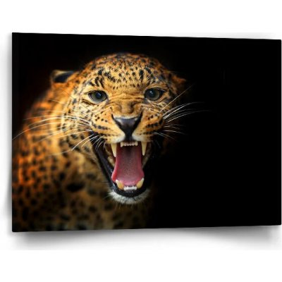 Sablio Obraz Gepard 2 - 120x80 cm – Hledejceny.cz