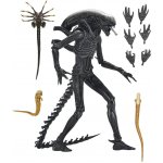 Neca Cosmic Group Alien Romulus Scorched Xenomorph – Zbozi.Blesk.cz