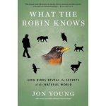 What the Robin Knows: How Birds Reveal the Secrets of the Natural World Young JonPaperback – Hledejceny.cz