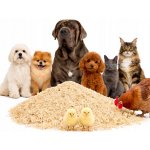 Andi univerzální těstoviny 10 kg – Sleviste.cz