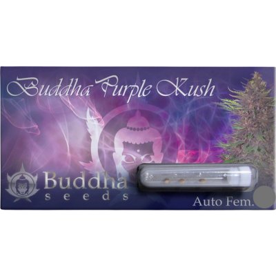 Buddha Seeds Buddha Purple Kush Auto semena neobsahují THC 1 ks