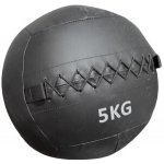 Truesteel wall ball 8 Kg – Zboží Mobilmania