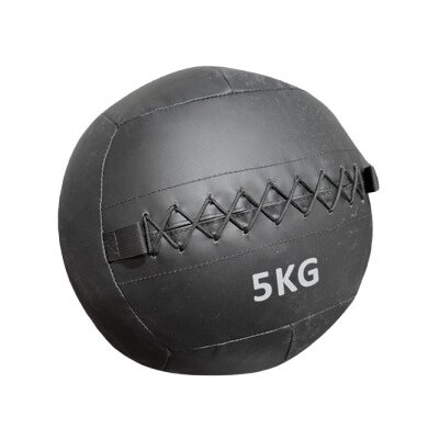 Truesteel wall ball 8 Kg – Zboží Mobilmania