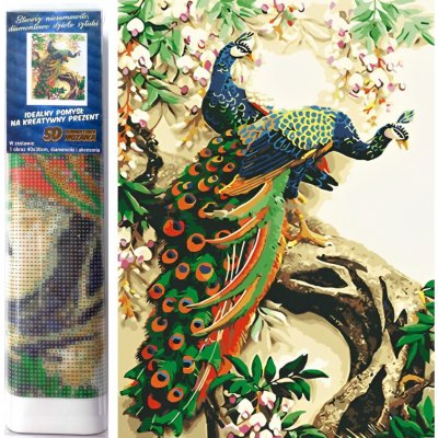 Norimpex Diamantové malování Vznešený páv 30 x 40 cm – Hledejceny.cz