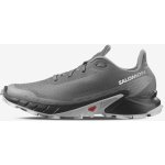Salomon Alphacross 5 473133 29 W0 Pewter/Black/Ghost Gray – Zboží Dáma