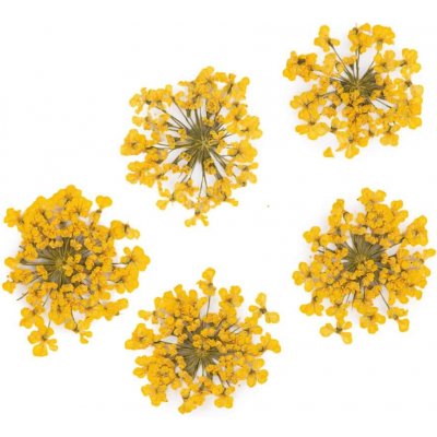 Starnails Sušené květy na nehty Yellow 5 ks – Hledejceny.cz
