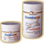 Orling - Chondrocan Forte 150 g – Hledejceny.cz