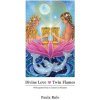 Cizojazyčná kniha Divine Love Twin Flames - Rule Paula