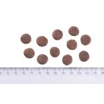 Brit Care Sustainable Adult Medium Breed Chicken & Insect 12 kg – Zboží Dáma