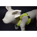 Palkar klasický postroj pro psy – Hledejceny.cz