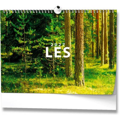 nástěnný Les 45cm x 32cm BNK22-27 2027 – Sleviste.cz