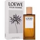 Parfém Loewe Pour Homme toaletní voda pánská 100 ml