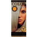 Color Time dlouhotrvající gelová barva na vlasy 88 stříbrná blond 85 ml